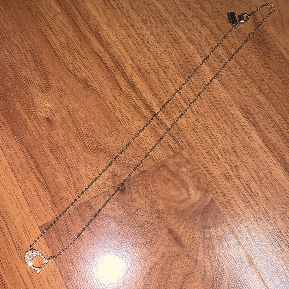 Coach Pave Signature Necklace - Picture 2 of 8